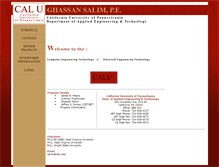 Tablet Screenshot of profsalim.com